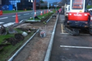 opposite path excavated & edged